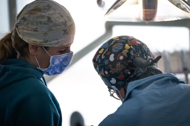 Reception dello studio odontoiatrico Montemezzo-Lugli